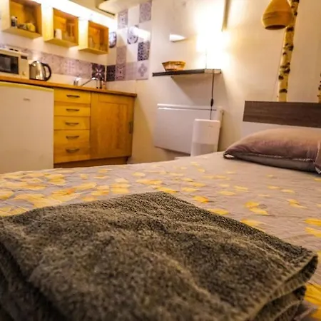 Cozy Studio Near Montorgueil